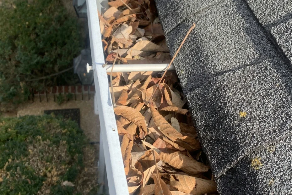 Gutter Cleaning Chester