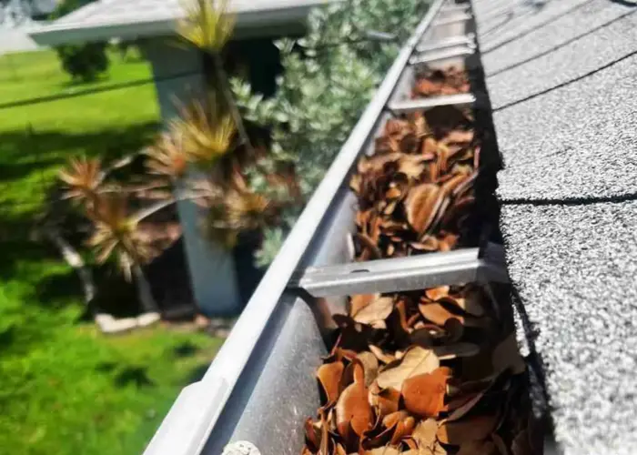 Gutter Cleaning Chester home page